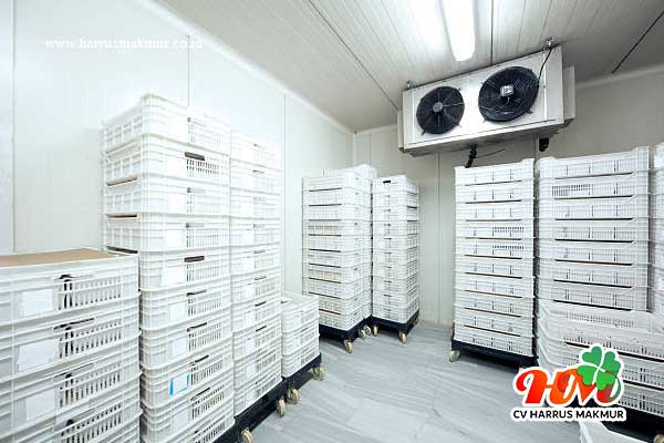 Cold Storage Room