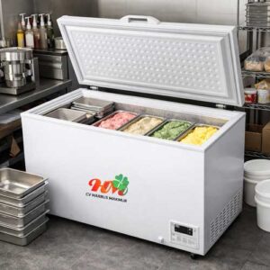 Freezer Penyimpanan Gelato 